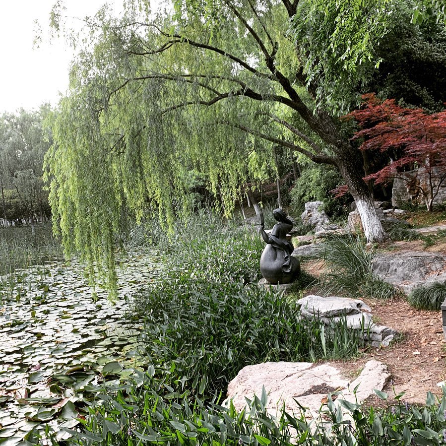 Gardens in Suzhou, Hotpot, and the top rated dianping restaurant in Xi'an.